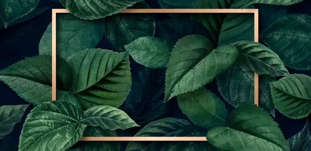 Background with leaf details